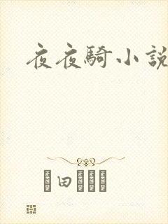 夜夜骑小说封面
