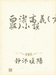 白洁高义(完整版)小说封面