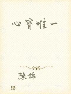 心宝唯一