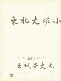 东北大坑小说封面