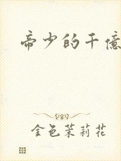 帝少的千亿宠儿