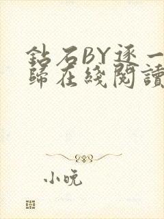 钻石BY逐一而归在线阅读