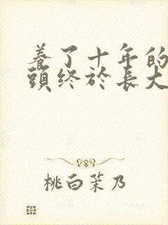 养了十年的小丫头终于长大了