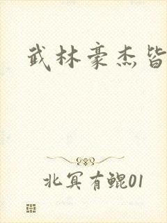 武林豪杰皆我奴封面