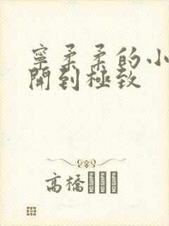 宁柔柔的小泬撑开到极致