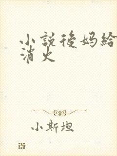 小说后妈给我消消火