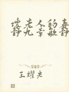 坏老人的春天敏静九章敏静封面