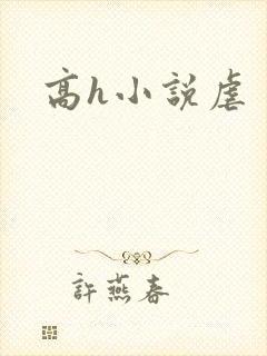 高h小说虐封面
