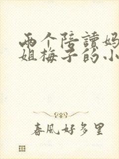 两个陪读妈妈赵姐梅子的小说