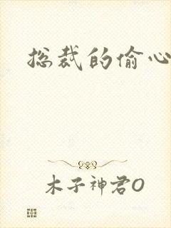 总裁的偷心娇妻