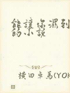 能让你湿到不行的小说