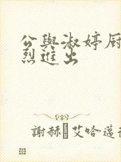 公与淑婷厨房猛烈进出