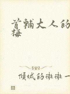 首辅大人的小青梅封面