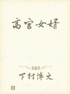 高官女婿封面