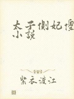 太子侧妃傻乎乎小说