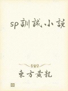sp训诫小说