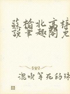 苏榆北高梓淇小说笔趣阁免费阅读