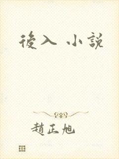 后入 小说