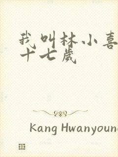 我叫林小喜今年十七岁封面