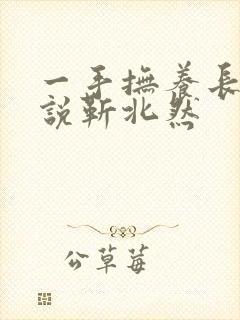 一手抚养长大小说靳北然