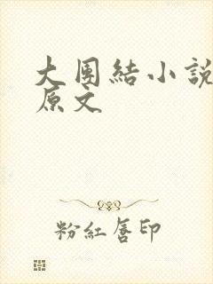 大团结小说阅读原文