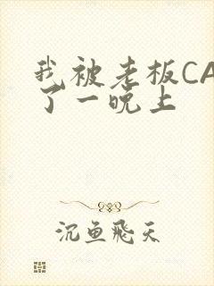 我被老板CAO了一晚上