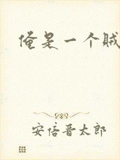 俺是一个贼封面