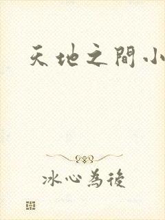 天地之间小说
