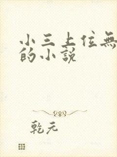 小三上位无三观的小说