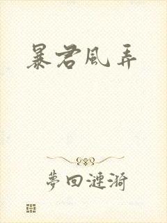 暴君风弄封面