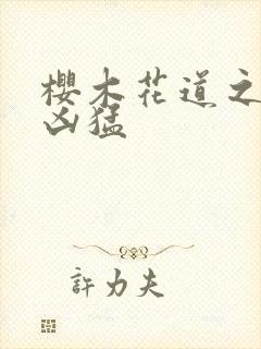 樱木花道之重生凶猛