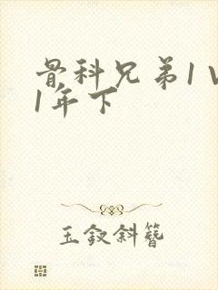 骨科兄弟1 V1年下封面