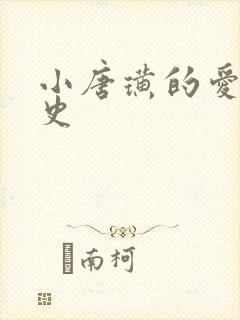 小唐璜的爱情历史