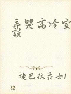 弄哭高冷室友小说