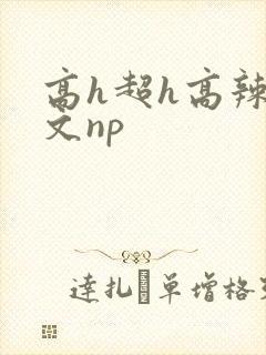 高h超h高辣h文np