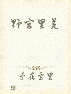 野宫里美封面