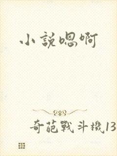 小说嗯啊