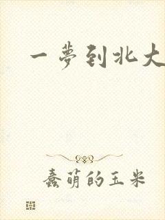 一梦到北大
