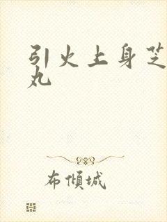 引火上身芝麻糖丸