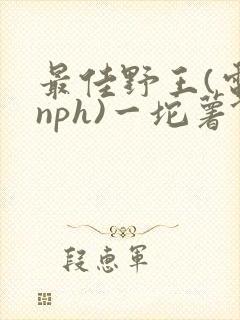 最佳野王(电竞nph)一坨薯饼