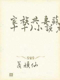 家族共妻苏苏(十千)小说免费