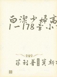 白洁少妇高义第1一178章小说封面