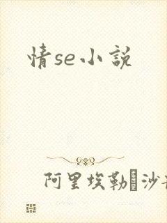情se小说