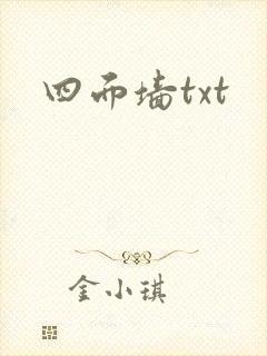 四面墙txt