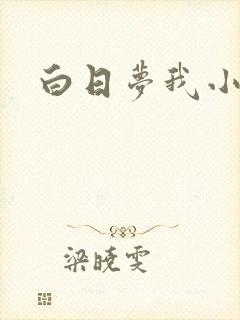 白日梦我小说
