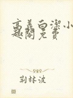 高义白洁小说笔趣阁免费封面