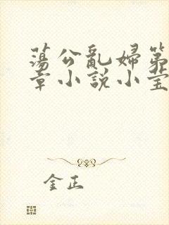 荡公乱妇第51章小说小莹