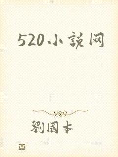 520小说网