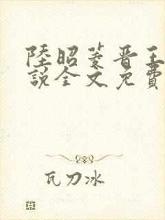 陆昭菱晋王的小说全文免费阅读封面