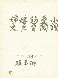 婶娘的爱小说全文免费阅读封面